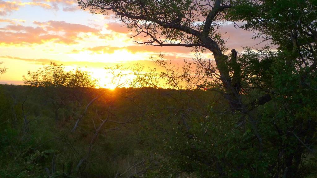 Masodini Game Lodge Grietjie Game Reserve Exterior foto